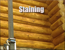  Lancaster County, Virginia Log Home Staining